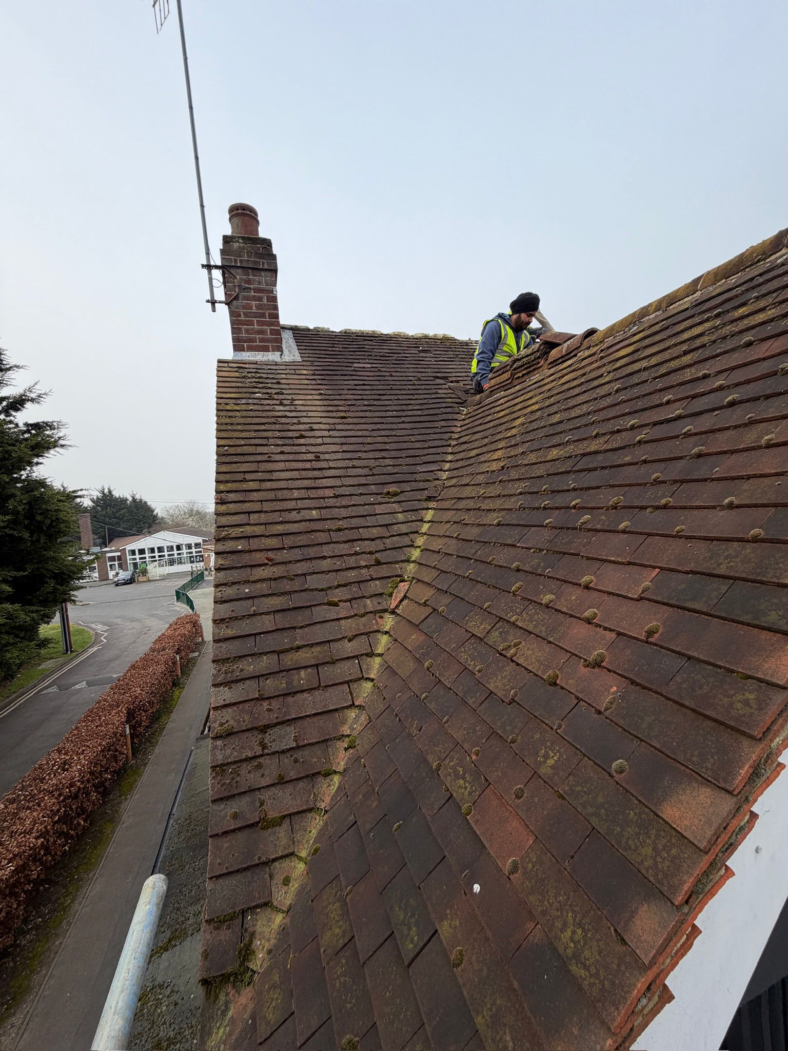 Old mossy roof